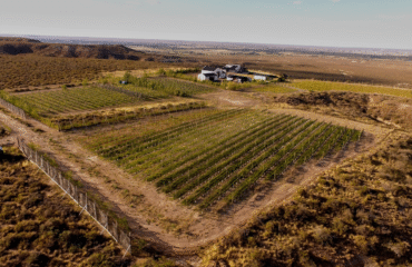 imagen_2025-10-31_213905610